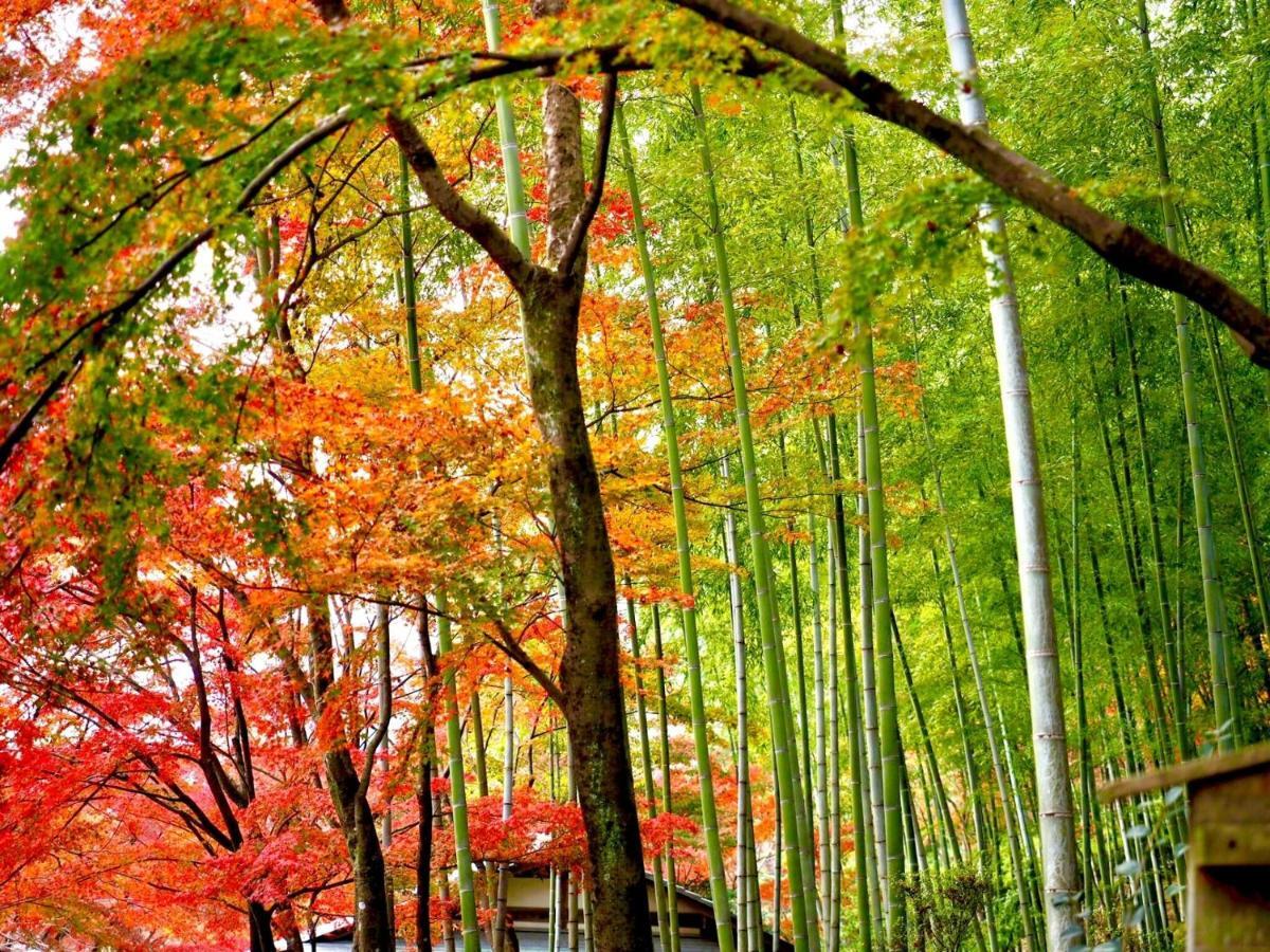 Kyoto Yadomachi Nishijin Lejlighed Eksteriør billede